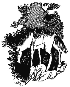 Иллюстрация к книге — Книга трех [i_30.jpg]