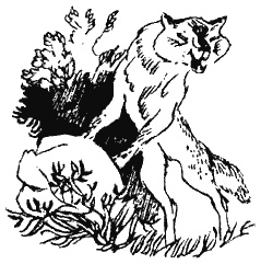 Иллюстрация к книге — Книга трех [i_36.jpg]