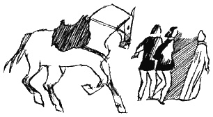 Иллюстрация к книге — Книга трех [i_42.jpg]