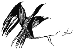 Иллюстрация к книге — Книга трех [i_50.jpg]