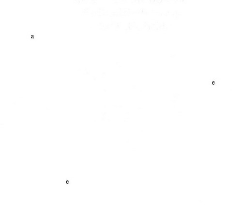 Иллюстрация к книге — Дневники голодной акулы [i_011.jpg]