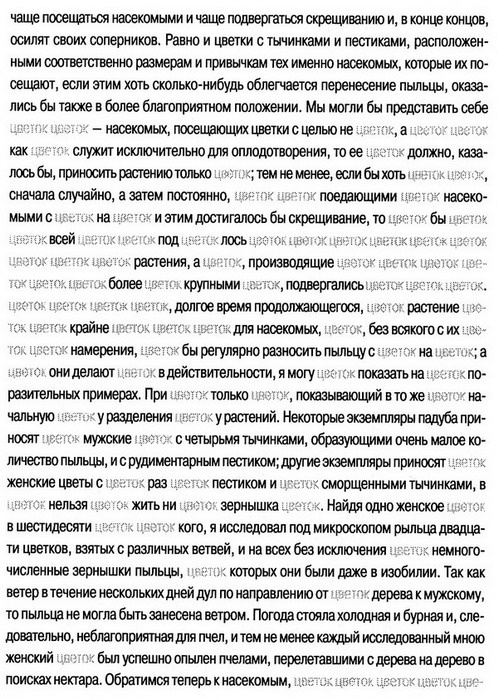 Иллюстрация к книге — Дневники голодной акулы [i_016.jpg]