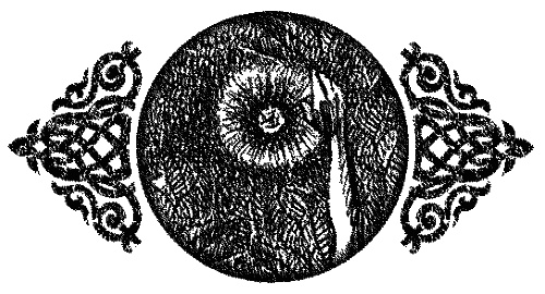 Иллюстрация к книге — Время нарушать запреты [id59726_i_035.jpg]