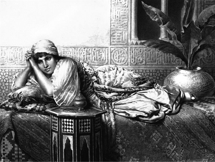 Иллюстрация к книге — Невольница гарема [i_020.jpg]