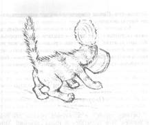 Иллюстрация к книге — Рилла из Инглсайда [i_007.jpg]