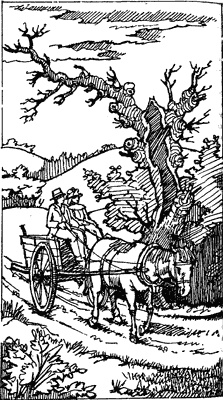 Иллюстрация к книге — История Энн Ширли. Книга вторая [i_013.jpg]