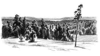 Иллюстрация к книге — Детям [_08.jpg]