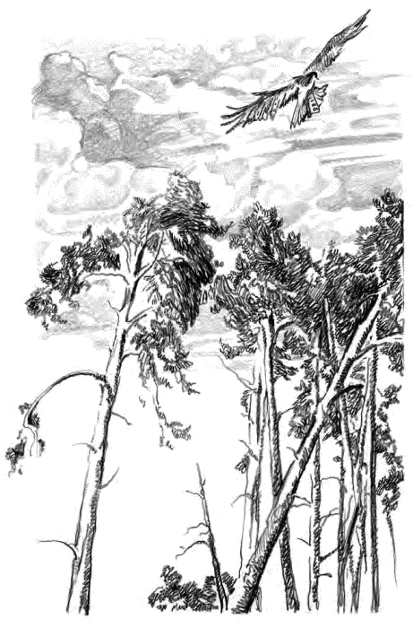 Иллюстрация к книге — Детям [_09.jpg]