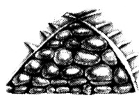 Иллюстрация к книге — Мэбэт [i_035.jpg]