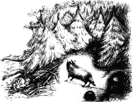 Иллюстрация к книге — Мэбэт [i_041.jpg]