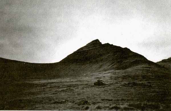 Иллюстрация к книге — Где ты теперь? [i_002.jpg]