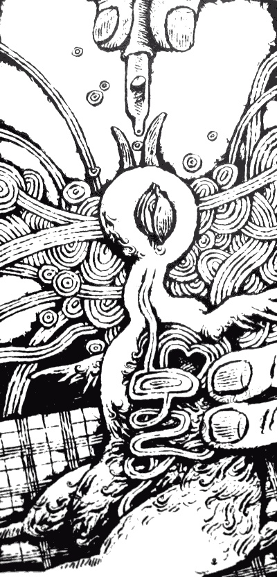 Иллюстрация к книге — Какша [i_006.jpg]