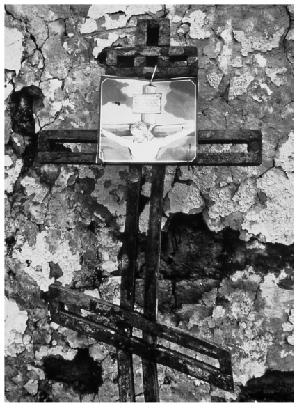 Иллюстрация к книге — Женский чеченский дневник [i_001.jpg]