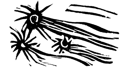 Иллюстрация к книге — Апокалипсис Антона Перчика [i_007.jpg]