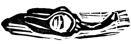 Иллюстрация к книге — Апокалипсис Антона Перчика [i_010.jpg]