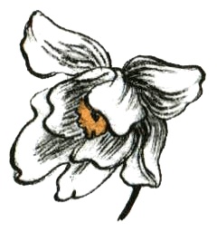 Иллюстрация к книге — Кадын - Владычица гор [i_011.jpg]