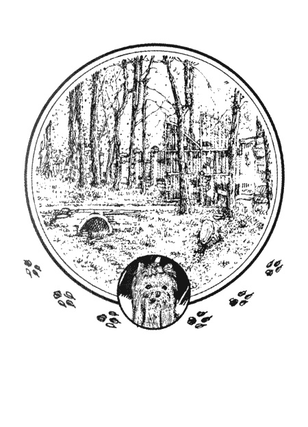 Иллюстрация к книге — Приключения черной таксы [img02.jpg]