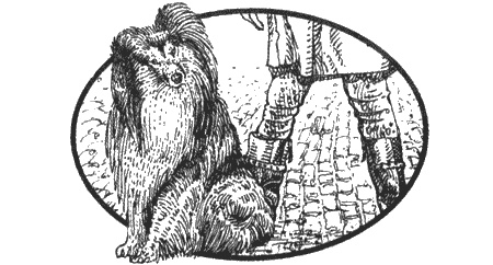 Иллюстрация к книге — Приключения черной таксы [img03.jpg]