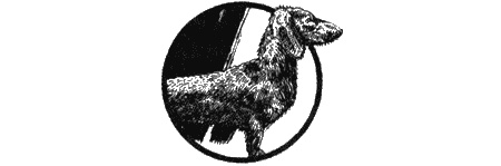 Иллюстрация к книге — Приключения черной таксы [img14.jpg]