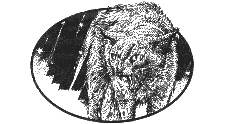 Иллюстрация к книге — Приключения черной таксы [img17.jpg]