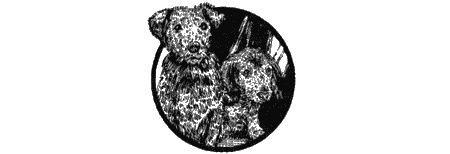 Иллюстрация к книге — Приключения черной таксы [img18.jpg]