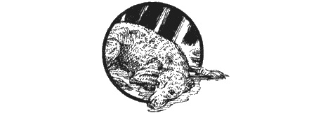 Иллюстрация к книге — Приключения черной таксы [img31.jpg]