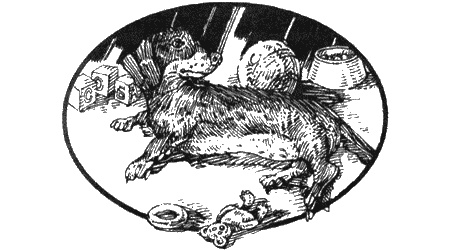 Иллюстрация к книге — Приключения черной таксы [img34.jpg]