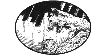 Иллюстрация к книге — Приключения черной таксы [img40.jpg]