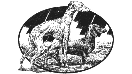 Иллюстрация к книге — Приключения черной таксы [img51.jpg]