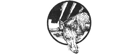 Иллюстрация к книге — Приключения черной таксы [img52.jpg]