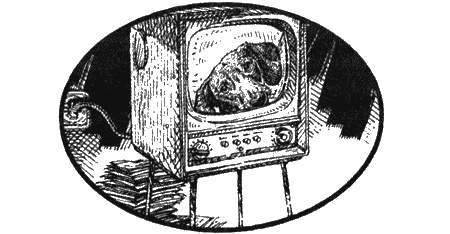 Иллюстрация к книге — Приключения черной таксы [img56.jpg]