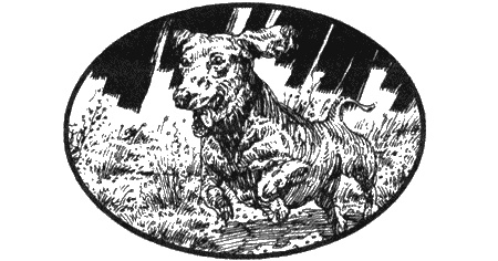 Иллюстрация к книге — Приключения черной таксы [img76.jpg]