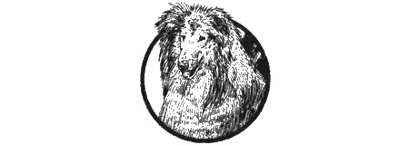 Иллюстрация к книге — Приключения черной таксы [img83.jpg]