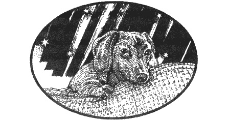 Иллюстрация к книге — Приключения черной таксы [img84.jpg]