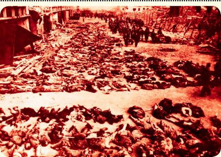 Иллюстрация к книге — Могила для 500000 солдат [i_005.jpg]