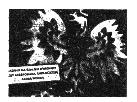 Иллюстрация к книге — Польско-русская война под бело-красным флагом [i_001.jpg]