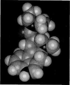 Иллюстрация к книге — Штурмуя небеса. ЛСД и американская мечта [any2fbimgloader16.jpg]