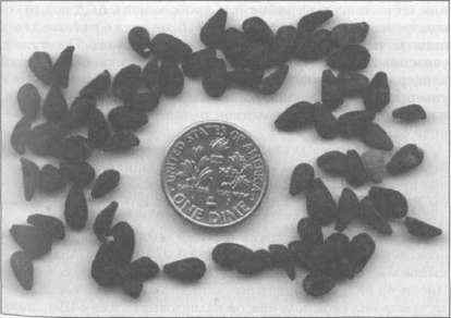 Иллюстрация к книге — Штурмуя небеса. ЛСД и американская мечта [any2fbimgloader59.jpg]