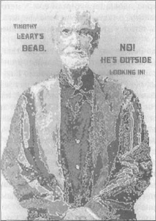 Иллюстрация к книге — Штурмуя небеса. ЛСД и американская мечта [p99.jpg]