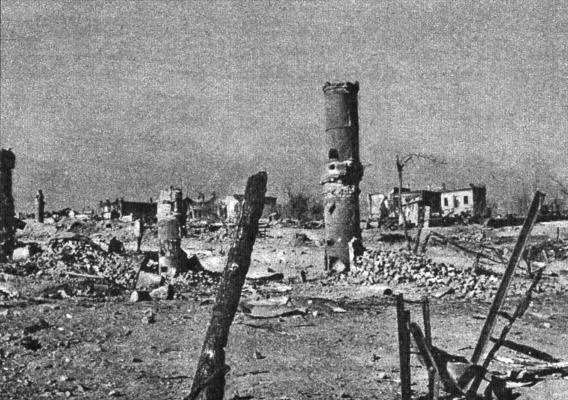 Иллюстрация к книге — Агония Сталинграда. Волга течет кровью [Autogen_eBook_id5.jpg]