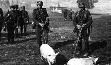 Иллюстрация к книге — 22 июня. Черный день календаря [i_064.jpg]