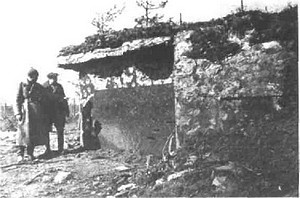 Иллюстрация к книге — Оболганная победа Сталина. Штурм Линии Маннергейма [i_001.jpg]