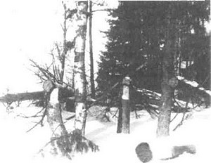 Иллюстрация к книге — Оболганная победа Сталина. Штурм Линии Маннергейма [i_013.jpg]