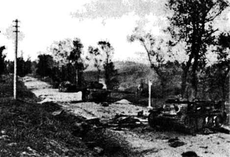 Иллюстрация к книге — Иной 1941. От границы до Ленинграда [i_009.jpg]