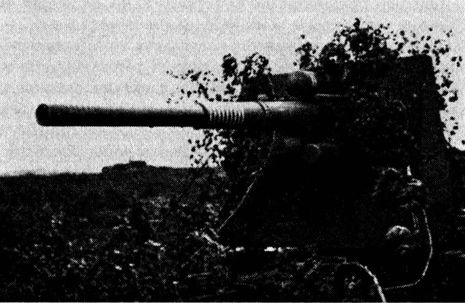 Иллюстрация к книге — Иной 1941. От границы до Ленинграда [i_017.jpg]