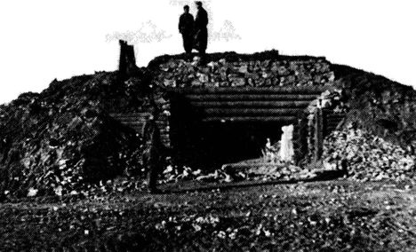 Иллюстрация к книге — Иной 1941. От границы до Ленинграда [i_100.jpg]