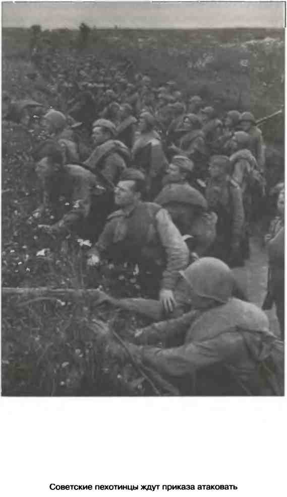 Иллюстрация к книге — Освобождение 1943. «От Курска и Орла война нас довела…» [i_069.jpg]