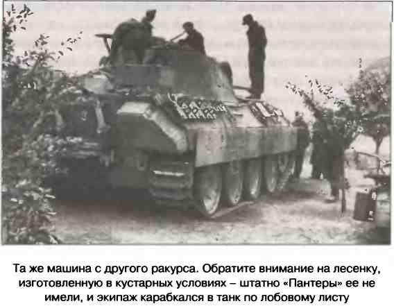 Иллюстрация к книге — Освобождение 1943. «От Курска и Орла война нас довела…» [i_101.jpg]