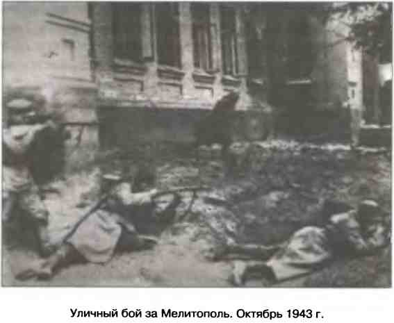 Иллюстрация к книге — Освобождение 1943. «От Курска и Орла война нас довела…» [i_102.jpg]