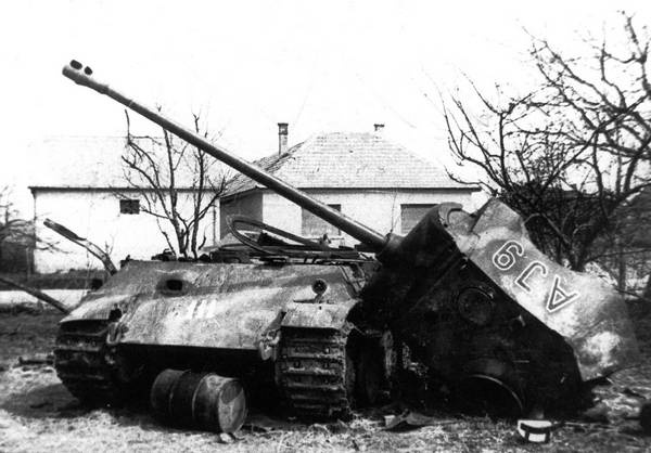 Иллюстрация к книге — Последние контрудары Гитлера. Разгром Панцерваффе [i_082.jpg]